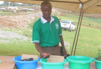 Kissa John shows seeds at an open day marketing event