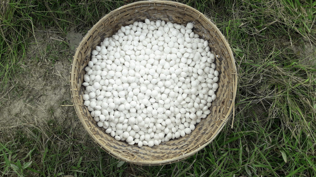 UDP briquettes in a tan basket sitting on grass