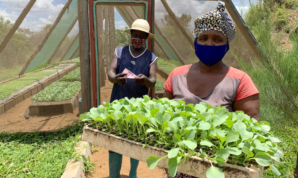 seedling producers outside a nursery