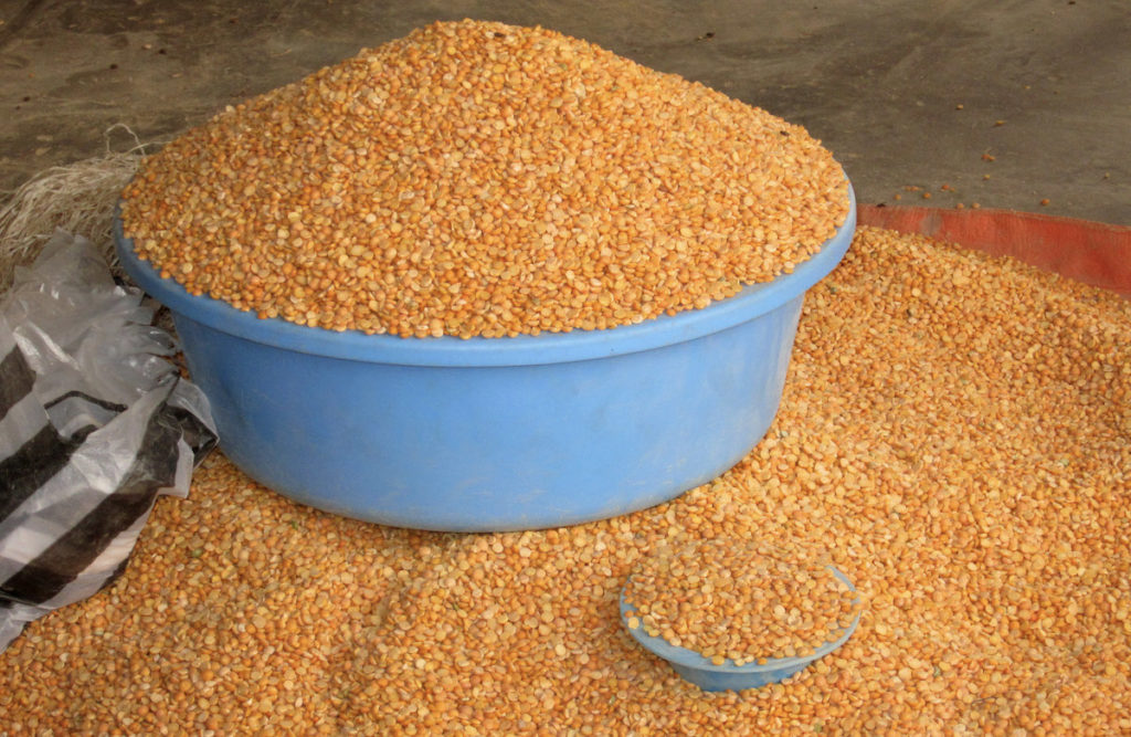 Seeds spill out of a blue bowl onto the ground and into a smaller container