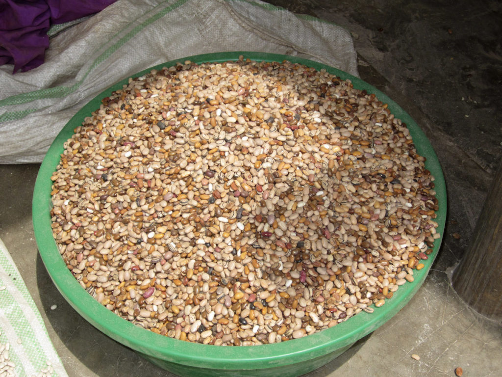 Assorted seeds in a large green bowl