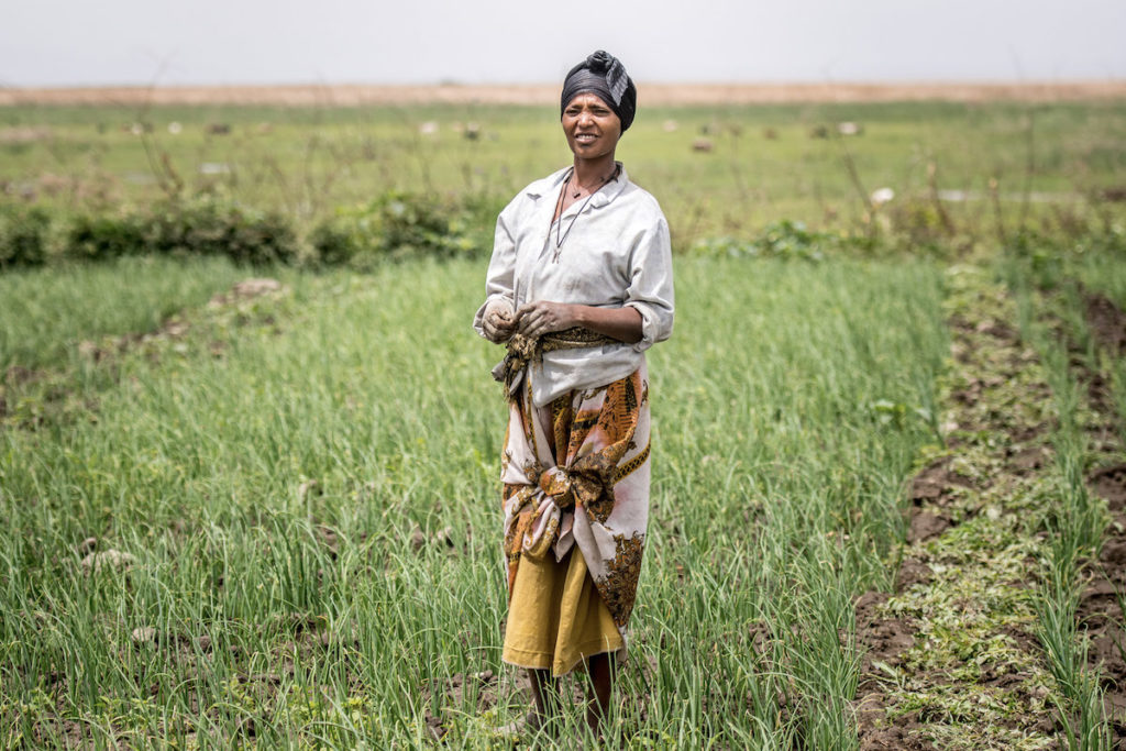 A woman farmer from Ethiopia stands in her field during a day of fertilizer application