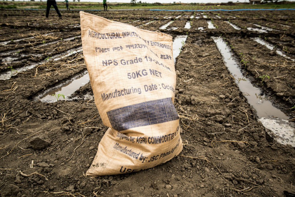 A bag of fertilizer sits in a field in Ethiopia
