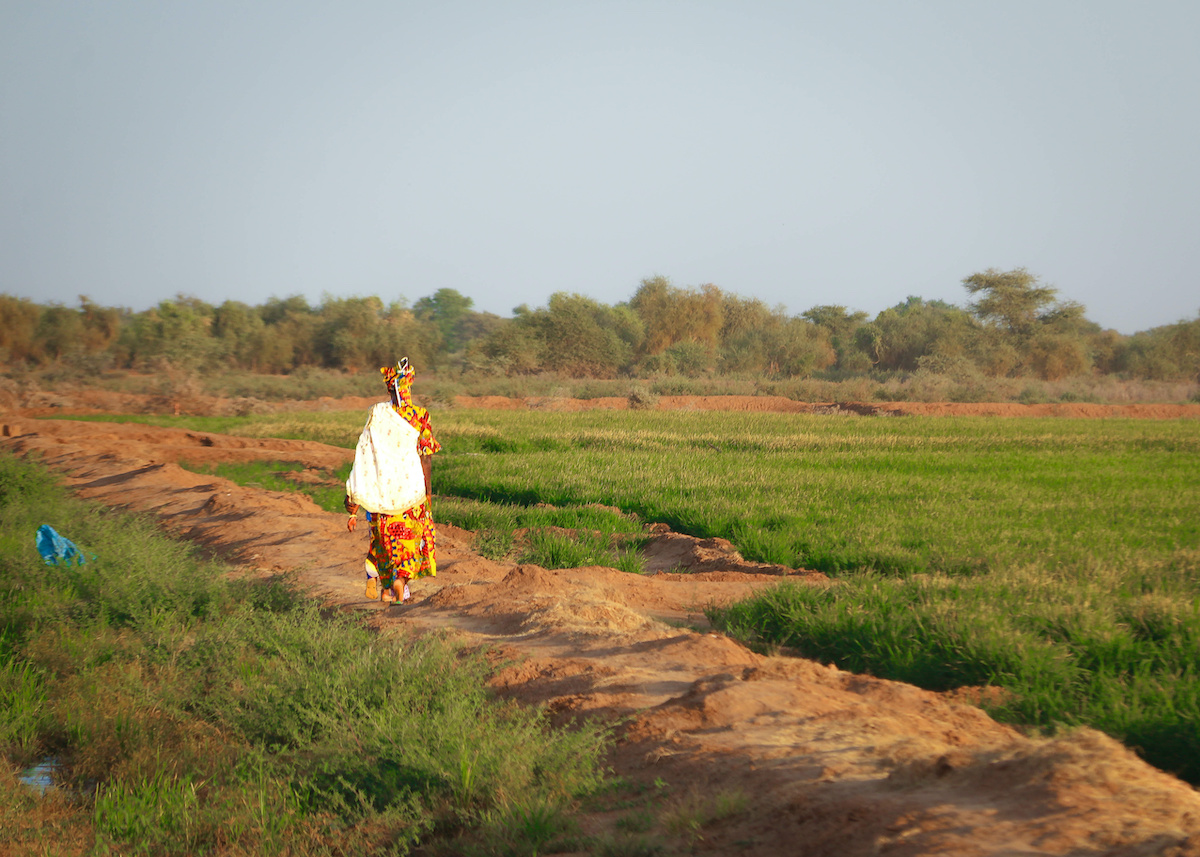 A female Senegalese farmer walks across a field