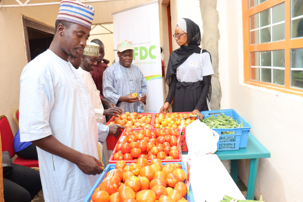 Stakeholders inspect farmers' tomatoes at the HortiNigeria vegetable sourcing mission