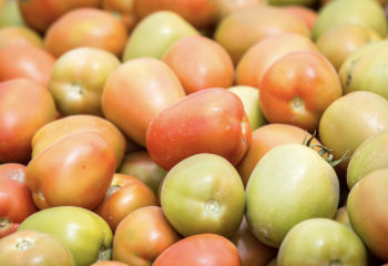 A close up of varying red and green tomatoes