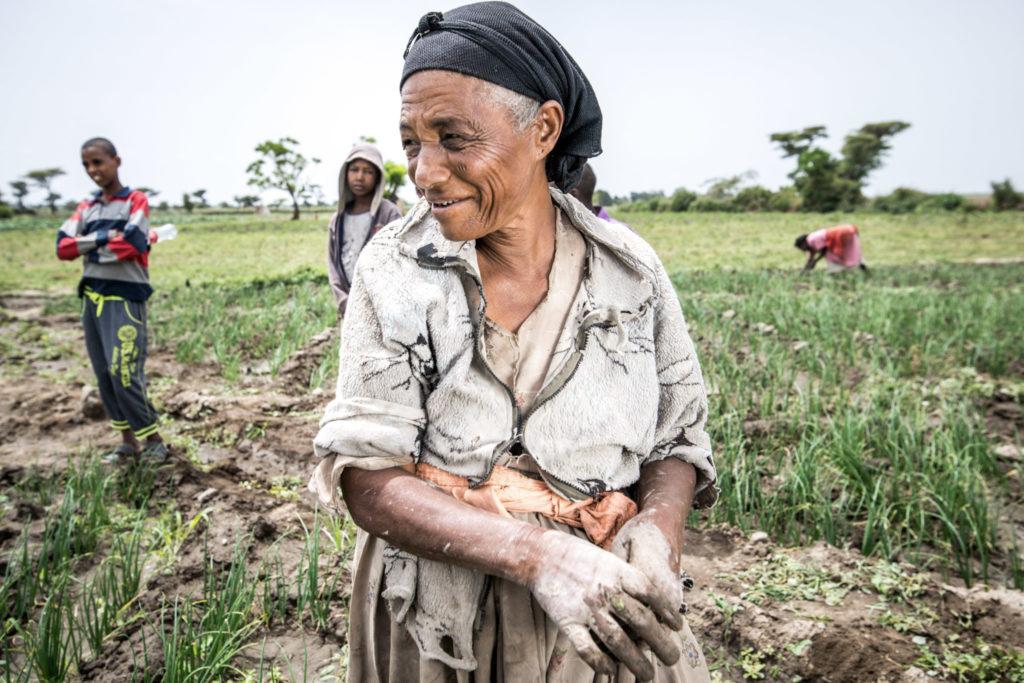 A female farmer stands in the middle of a field in Ethiopia