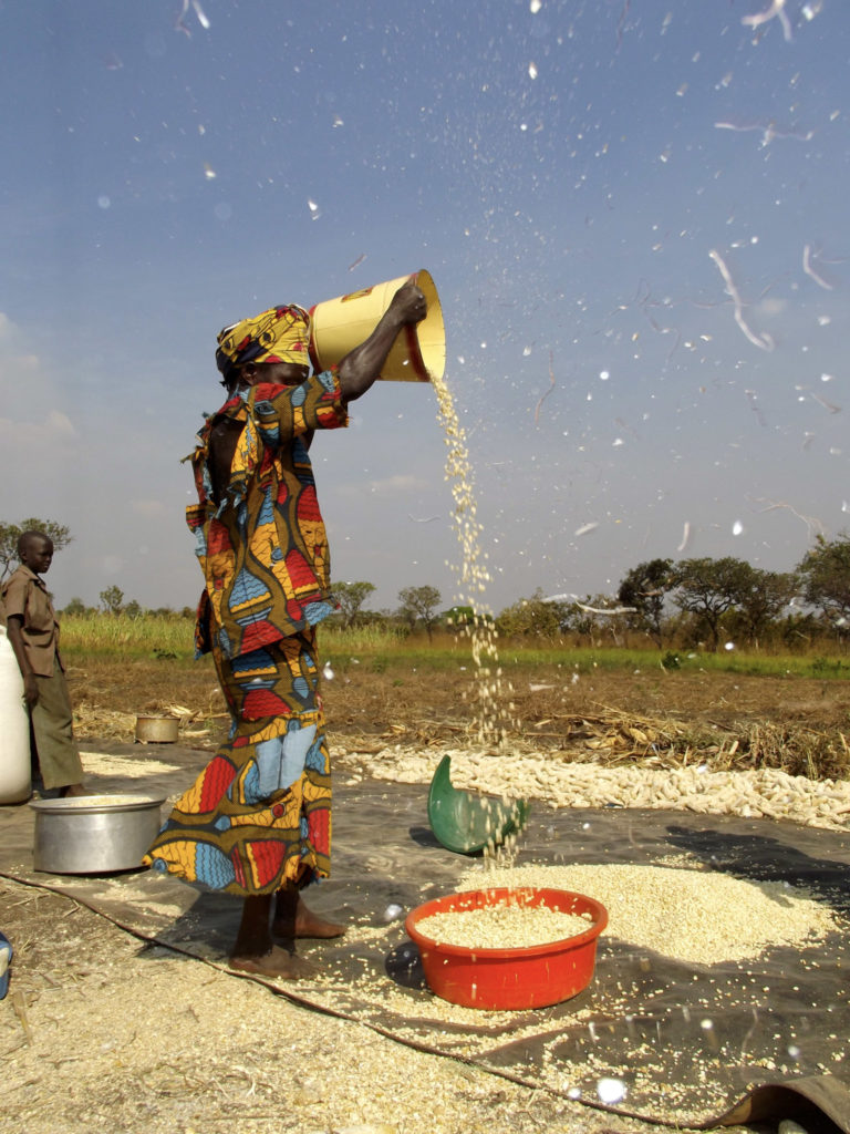 A woman from South Sudan processes maize after harvest