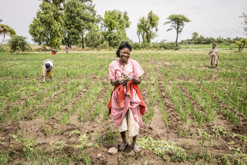 Ethiopian woman stands in a field