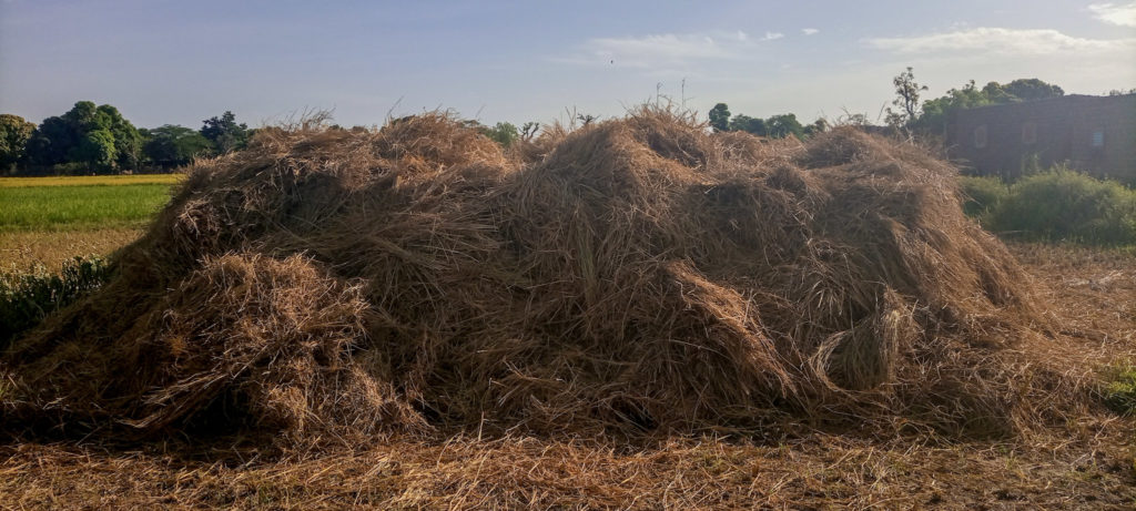 Plant material to be converted into compost