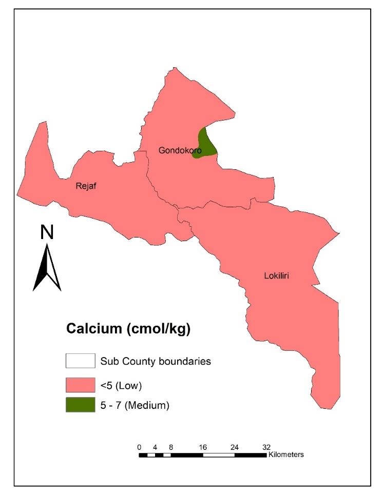 Map of the calcium content in juba's soils