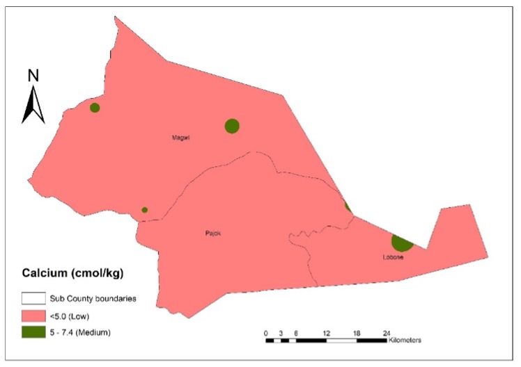 A map of the calcium content of Magwi's soils