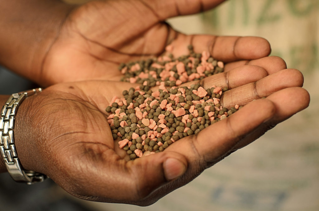 Hands holding fertilizer