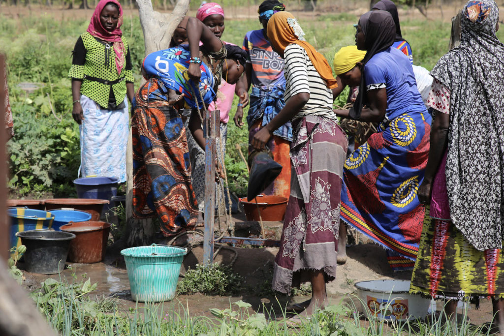 Women pump water for their garden