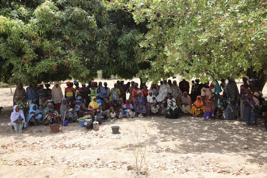 The Benkadi Cooperative of Falaba, about 40 people, stands under trees and poses for a picture