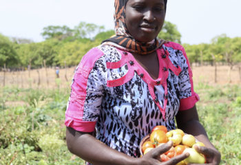 Woman in pink holds tomatoes in a field