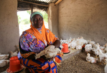 A woman in orange and purple holds a chicken with other chickens in the background