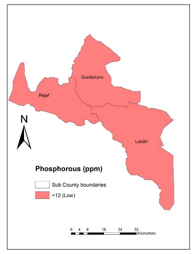A map of the phosphorous content in Juba's soils