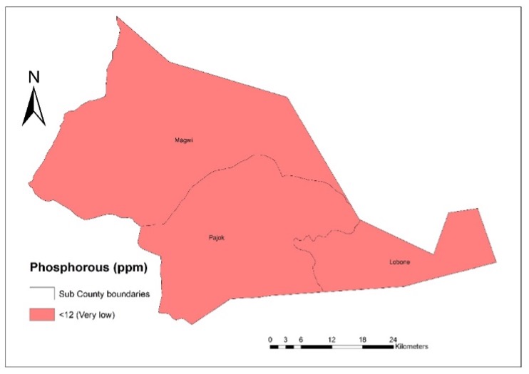 Phosphorous content in Magwi county soils