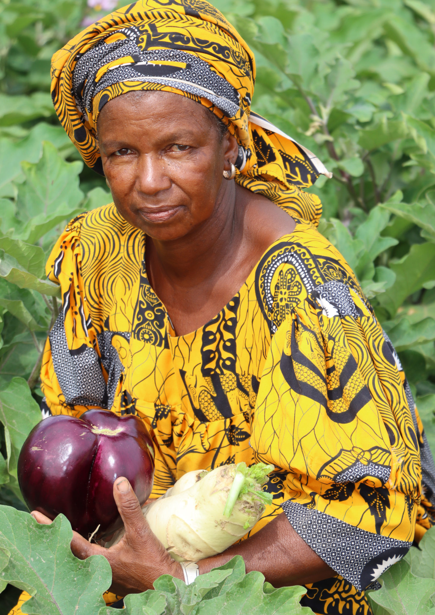 Meet Binta Ba Using Microdosing to Feed the Soil and Improve