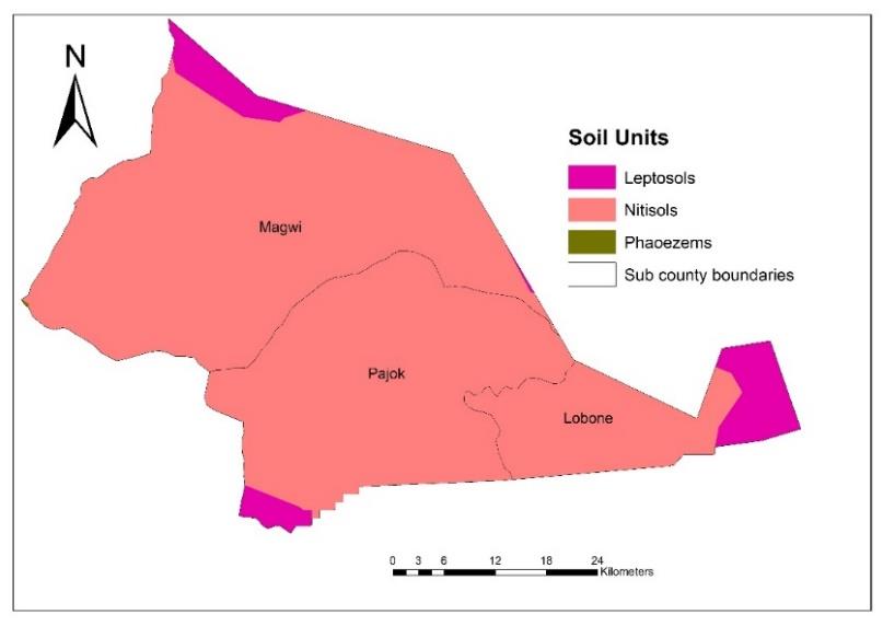 A map of soil units in Magwi