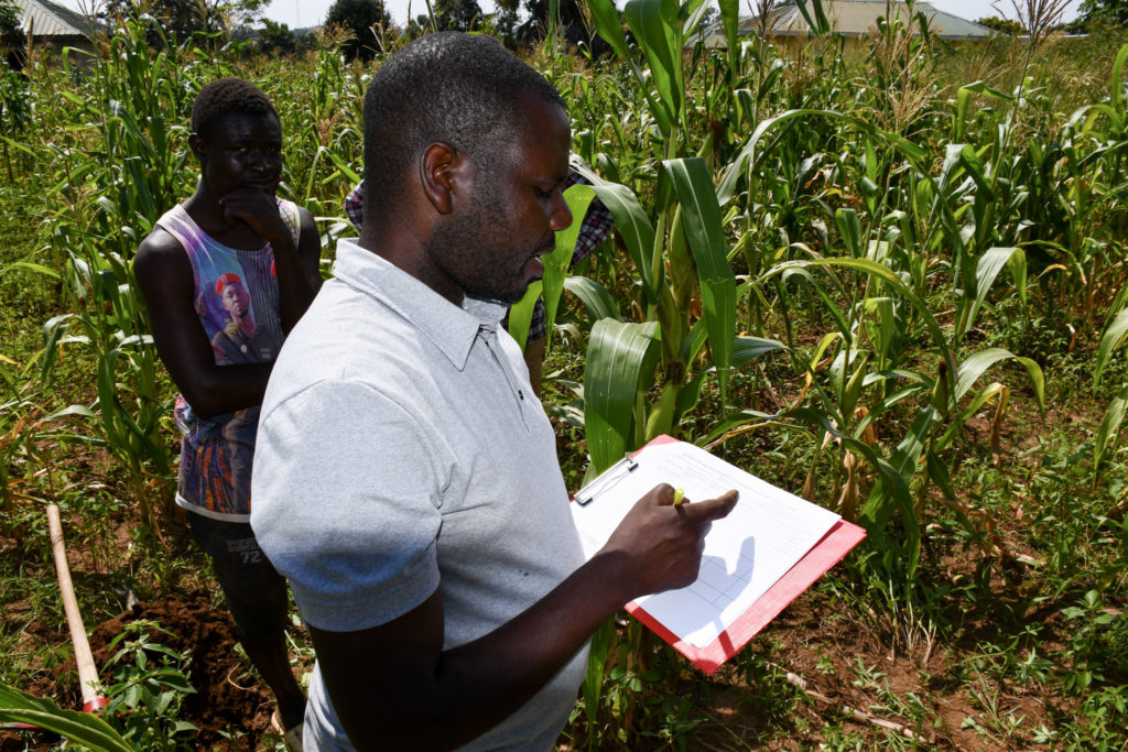 A man wearing a white shirt holding a red clip board records soil data in a crop field