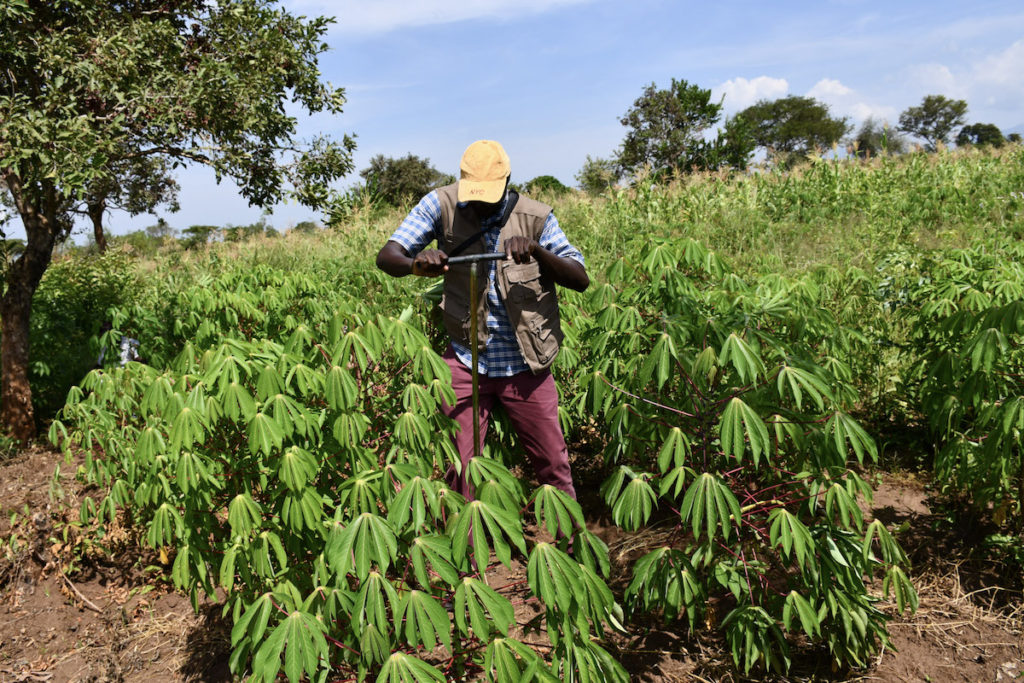 A man in a yellow hat, blue checkered shirt with brown vest, and burgundy pants drives a long soil sampling probe into the ground.