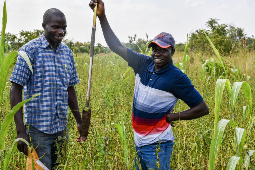 Two men smile about a freshly collected soil sample on a soil sampling probe. The man to the left is wearing a blue and white checkered shirt, and the man to the right is wearing a red, white, and blue striped ombre shirt. They stand in a field of large, green crops.