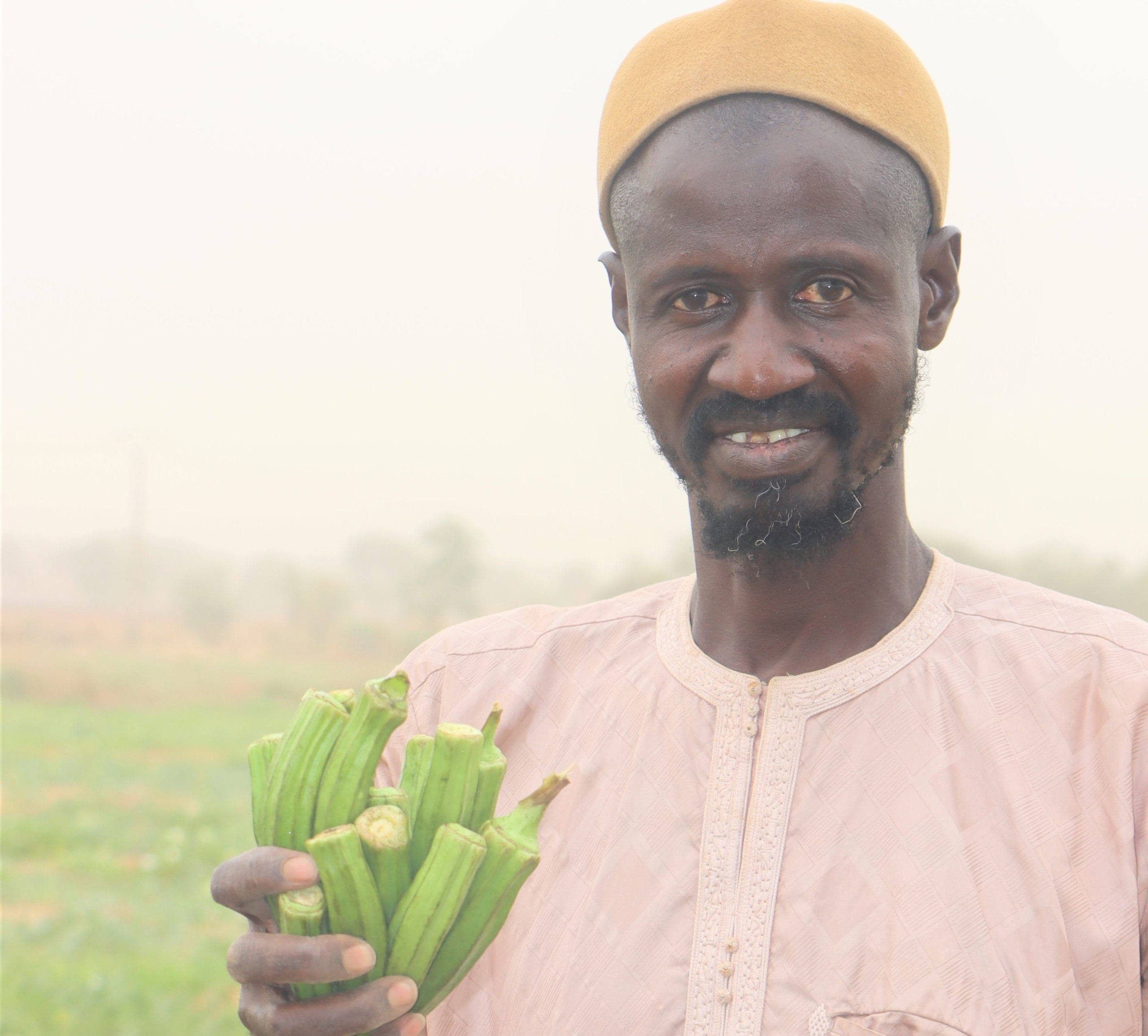 Will Senegal Meet The Imf'S Strict Requirements? - 3cyc3ul