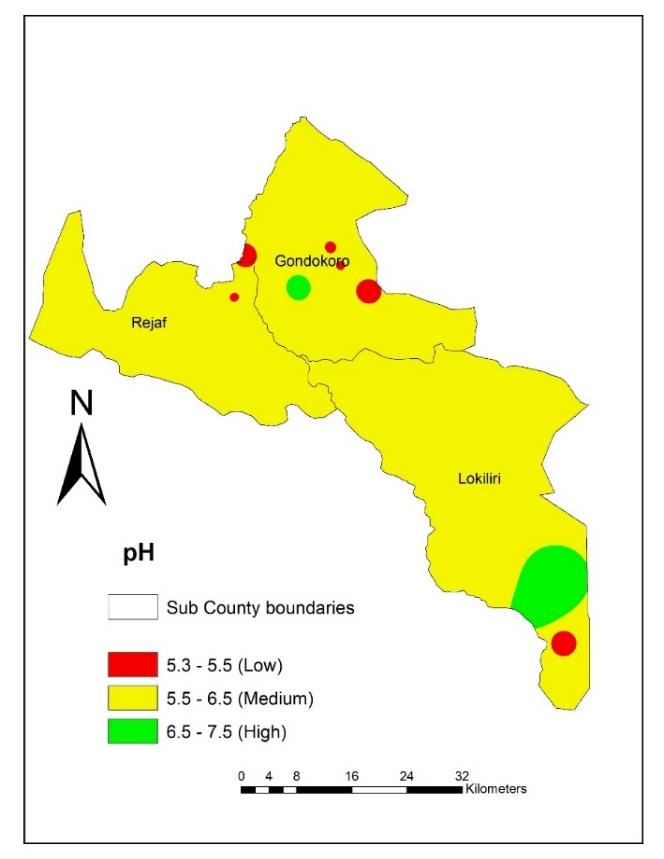 A map of the pH of Juba's soils