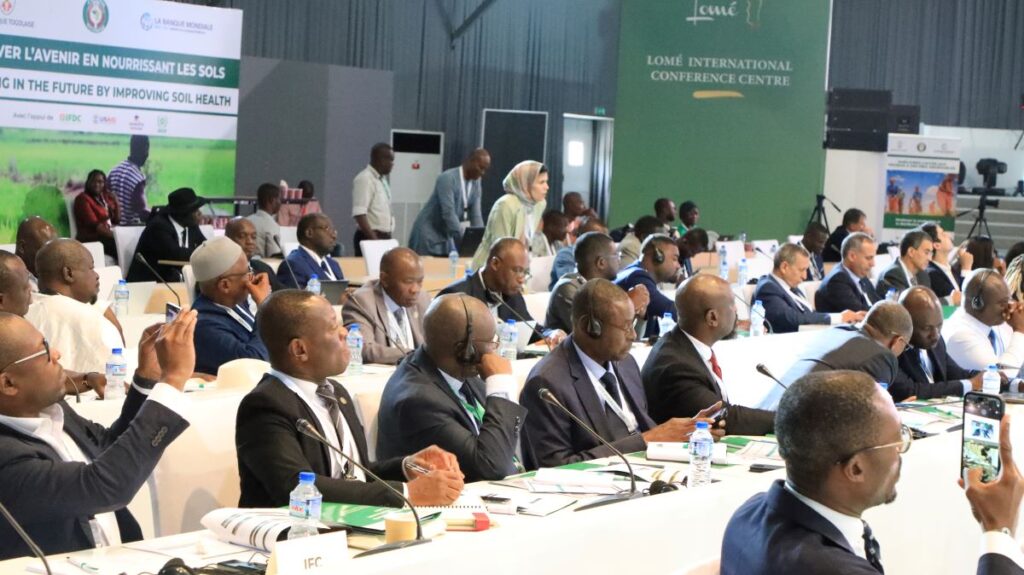 The Lome fertilizer round table