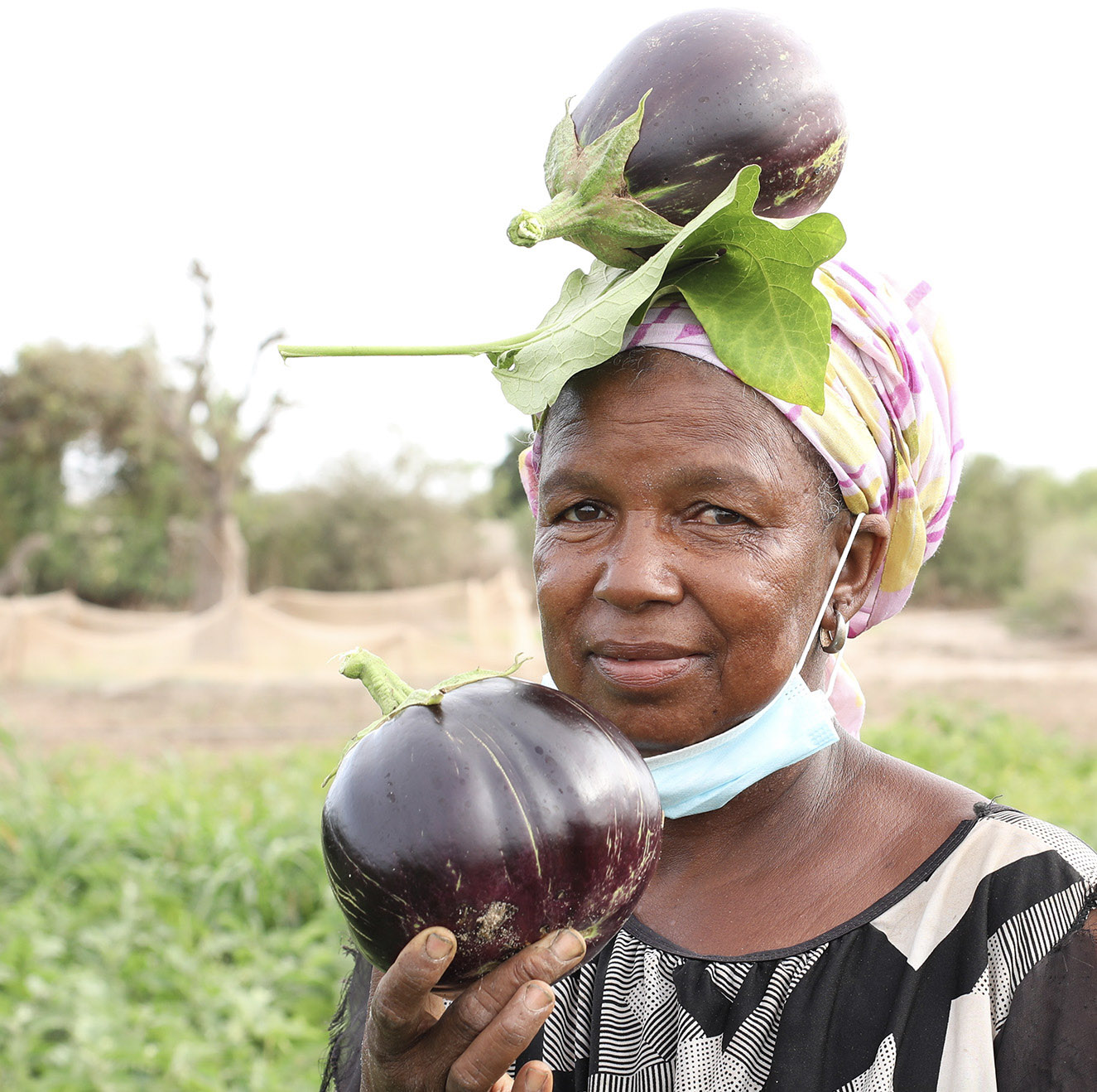 Binta Ba, a 52-year-old woman from Senegal, proudly displays an eggplant she grew using the microdosing fertilizer application method.