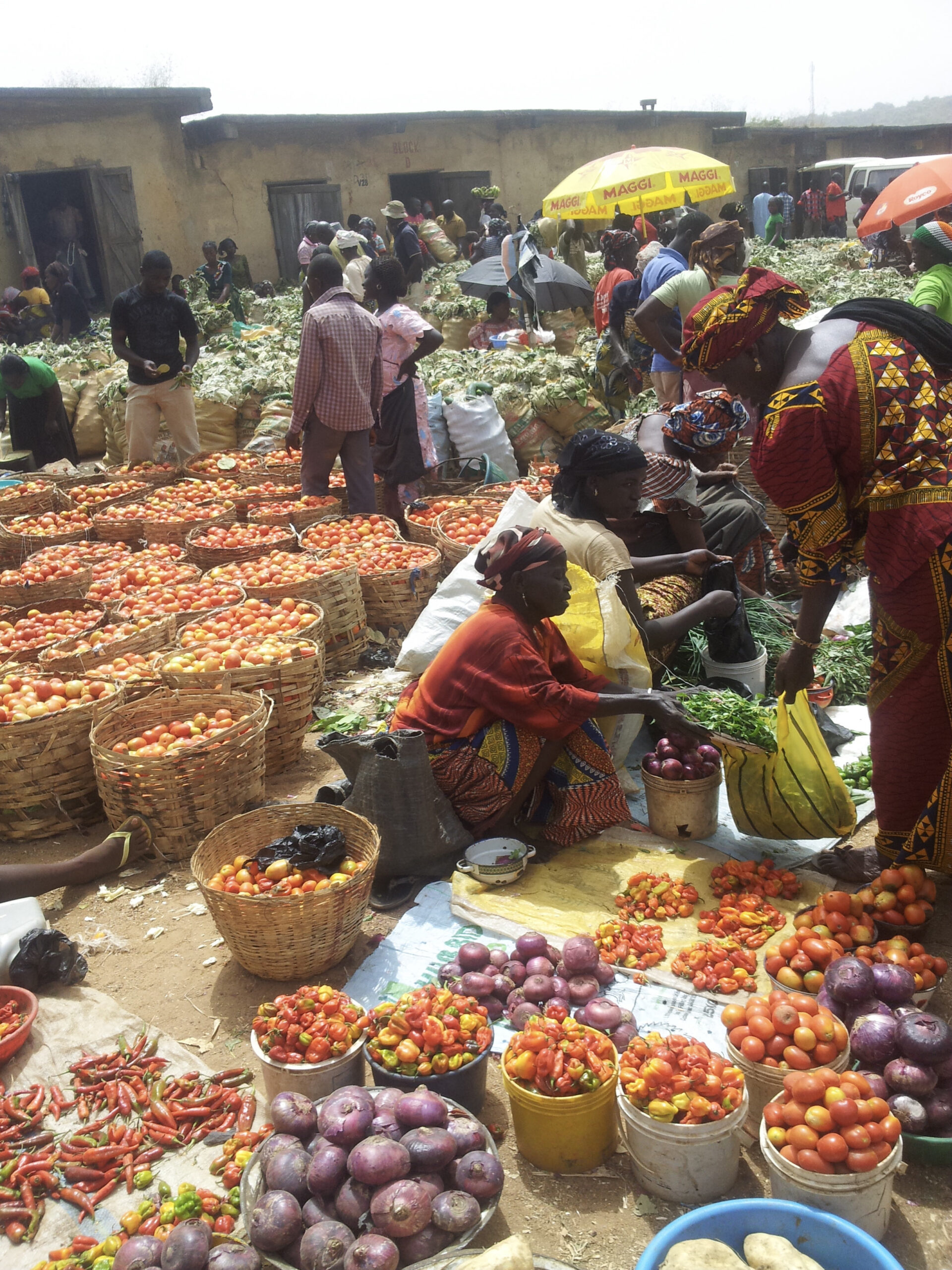 Women sell tomatoes and onions at a local market in Nigeria.
