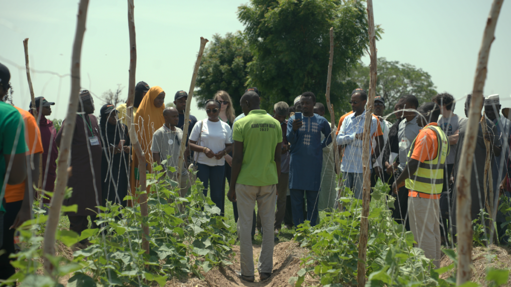 A group of people in a field looking at various plants near the ground. 