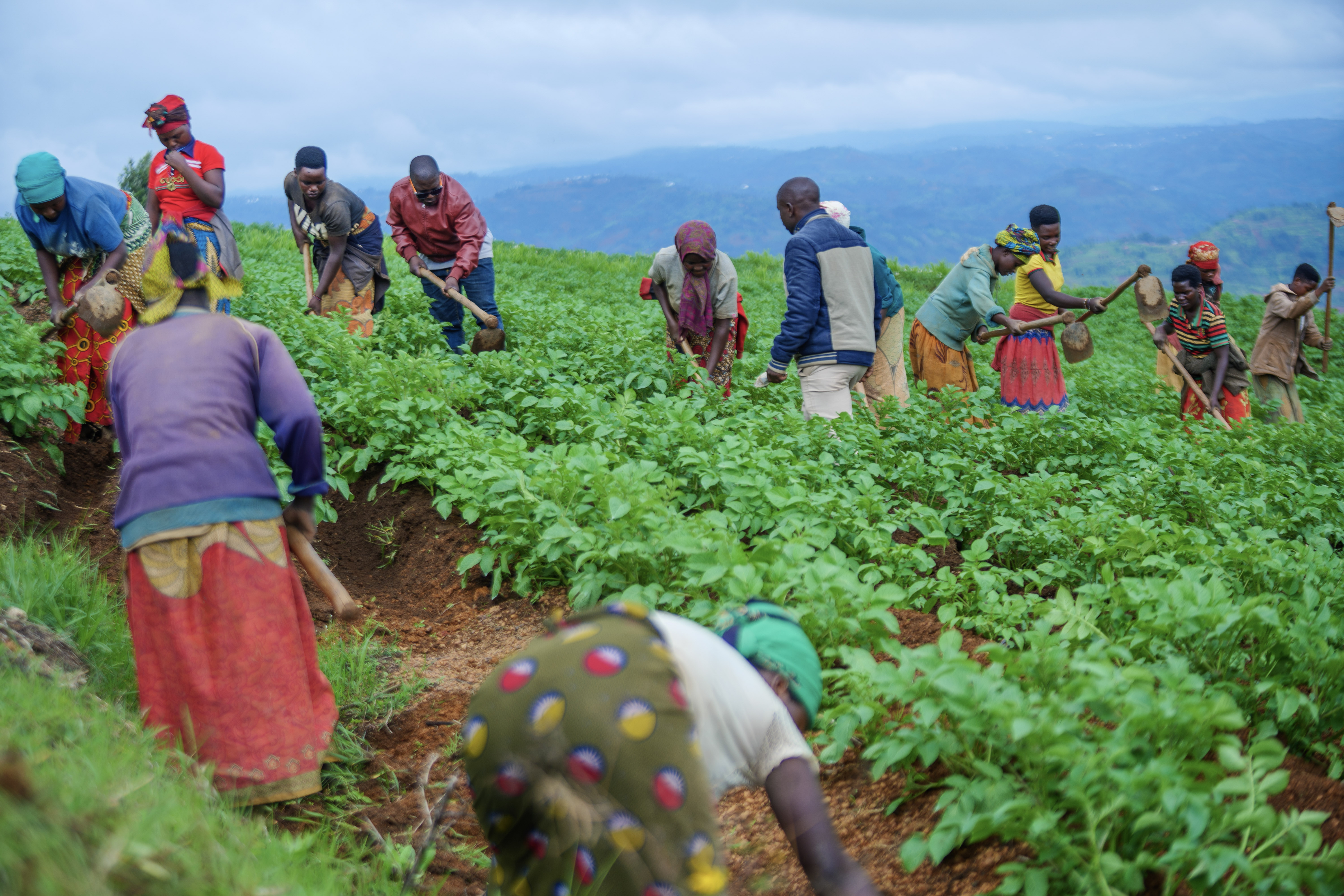 Farmers prepare their field in Burundi
