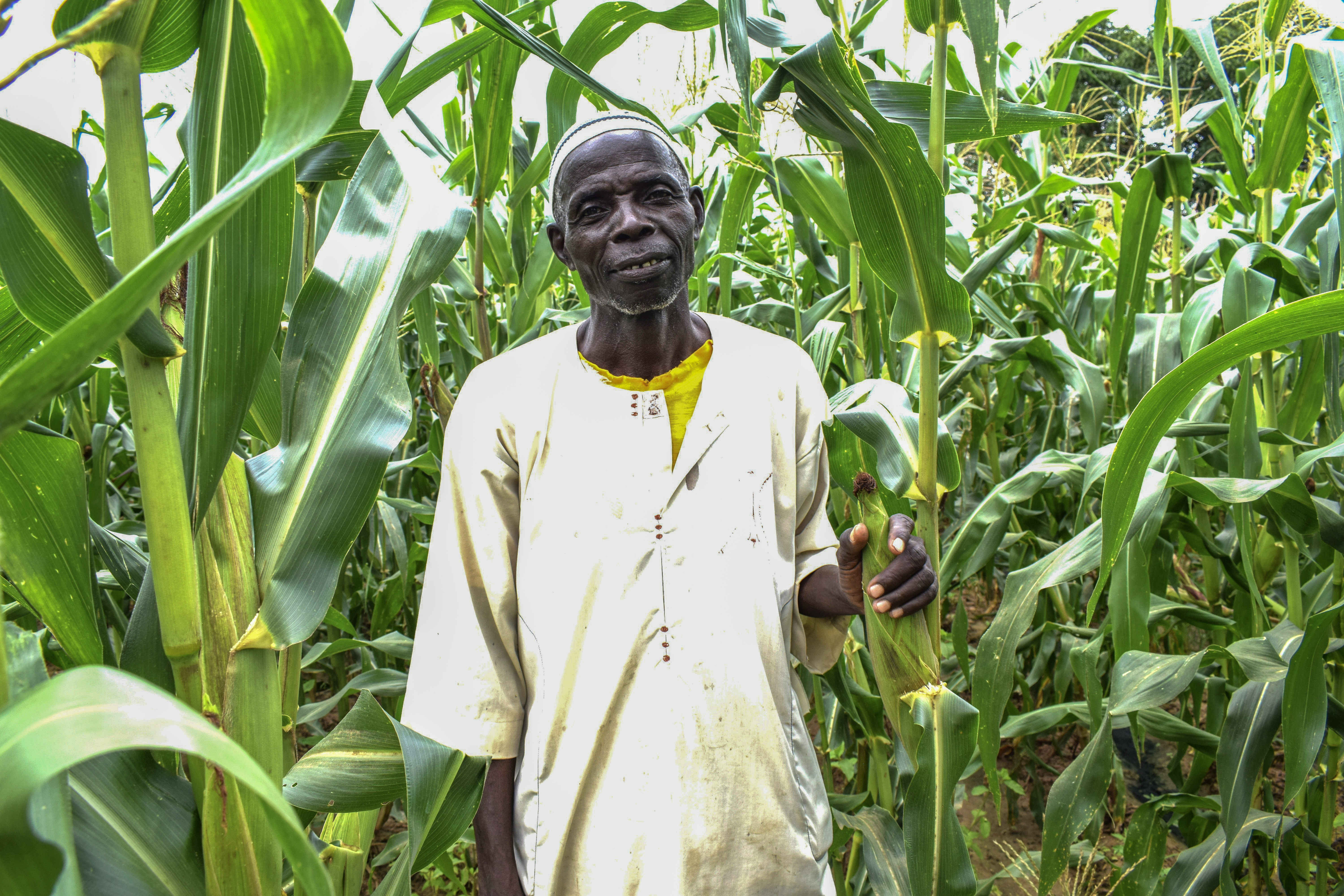 A farmer stands amongst his maize