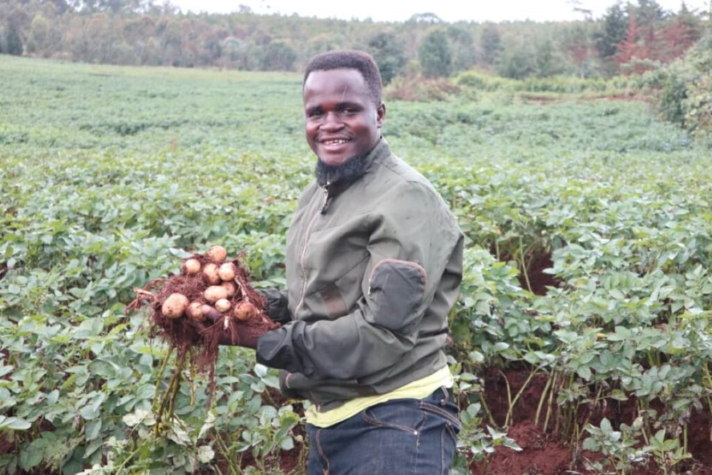 Emery Munezero in a field holding a group of harvested potatoes.