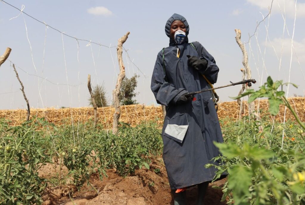 Mama Mura engages in safe agronomic practices with protective equipment.