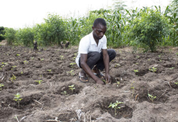 Herculano Branquinho implements sustainable practices on his farm, beginning in the planting stage.
