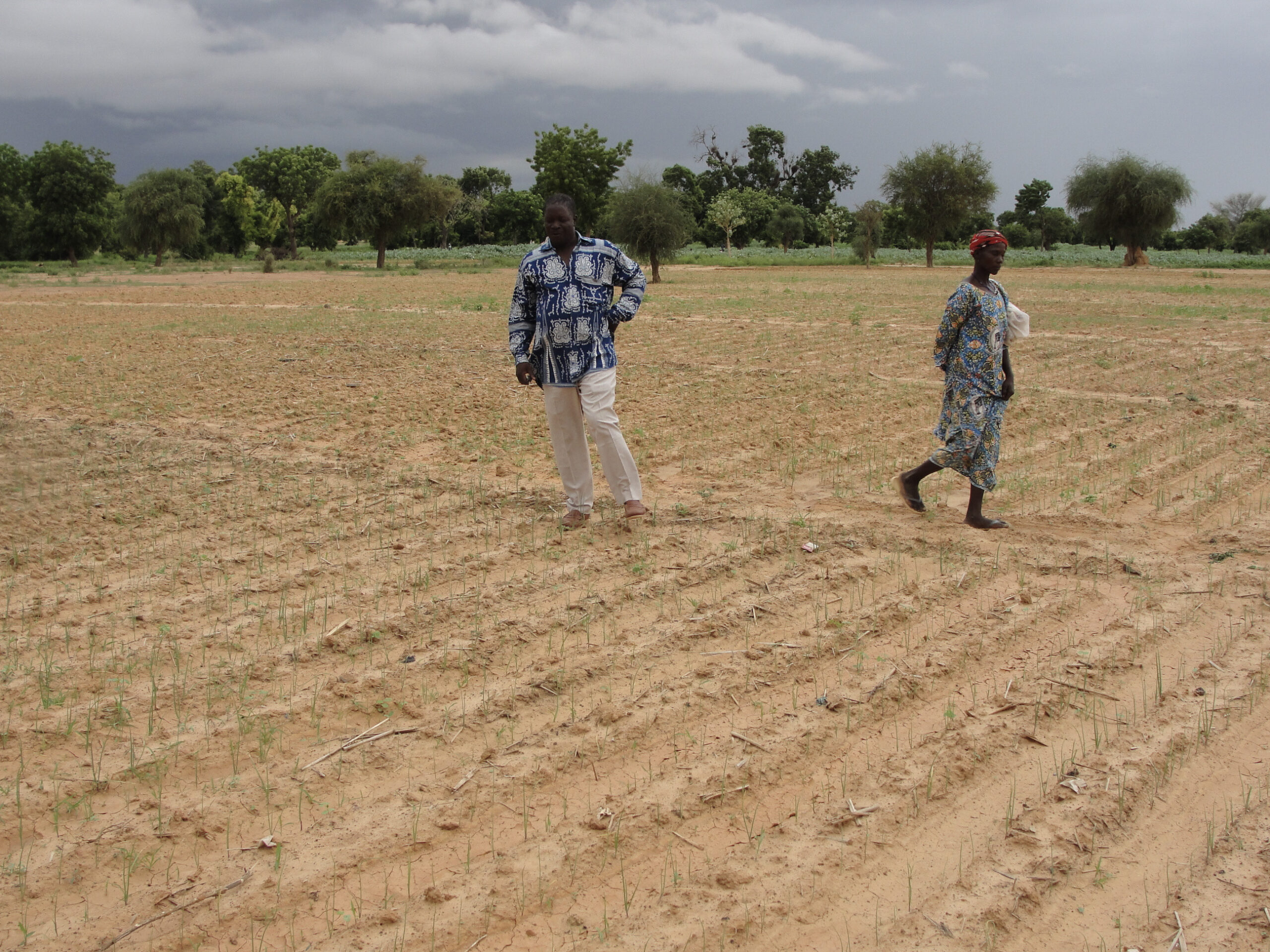 Two farmers walking on a field in Burkina Faso.