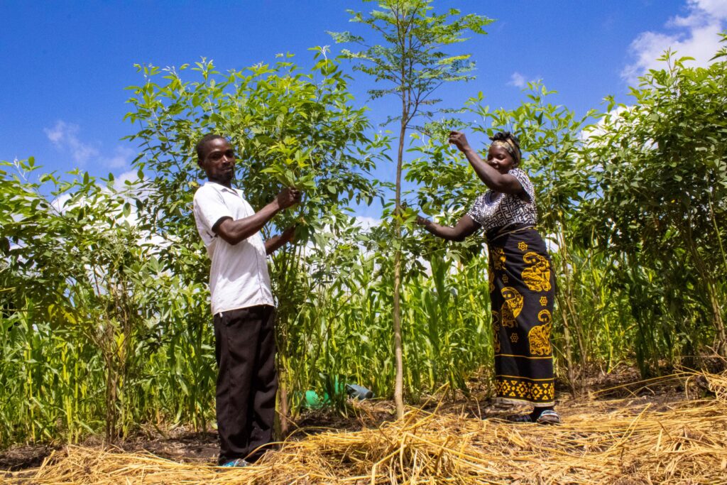 Mozambique farmers posing.