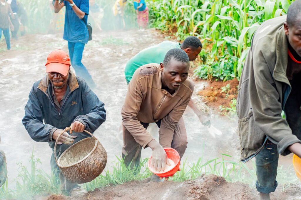 farmers learn to apply dolomite to their fields