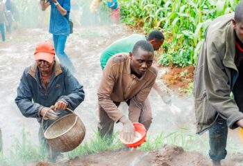 farmers learn to apply dolomite to their fields