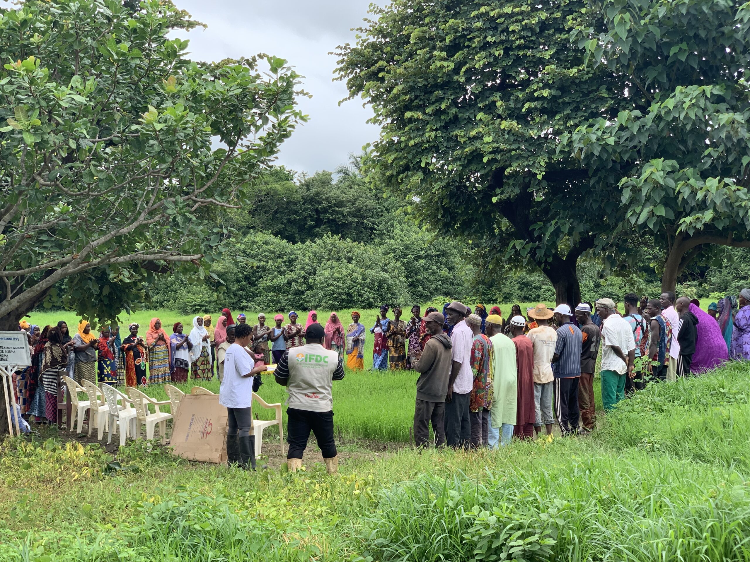 Integrated Rural Development in the Gaoual, Koundara, and Mali ...