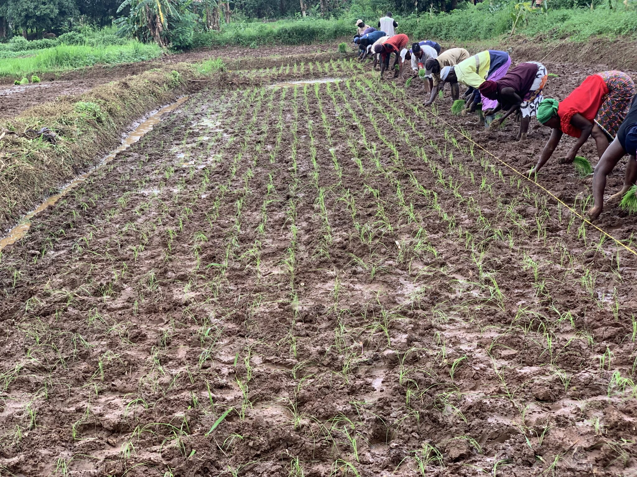 Integrated Rural Development in the Gaoual, Koundara, and Mali ...