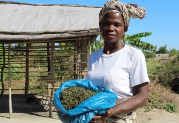 Florencia Mapureze proudly showcases her processed kale.