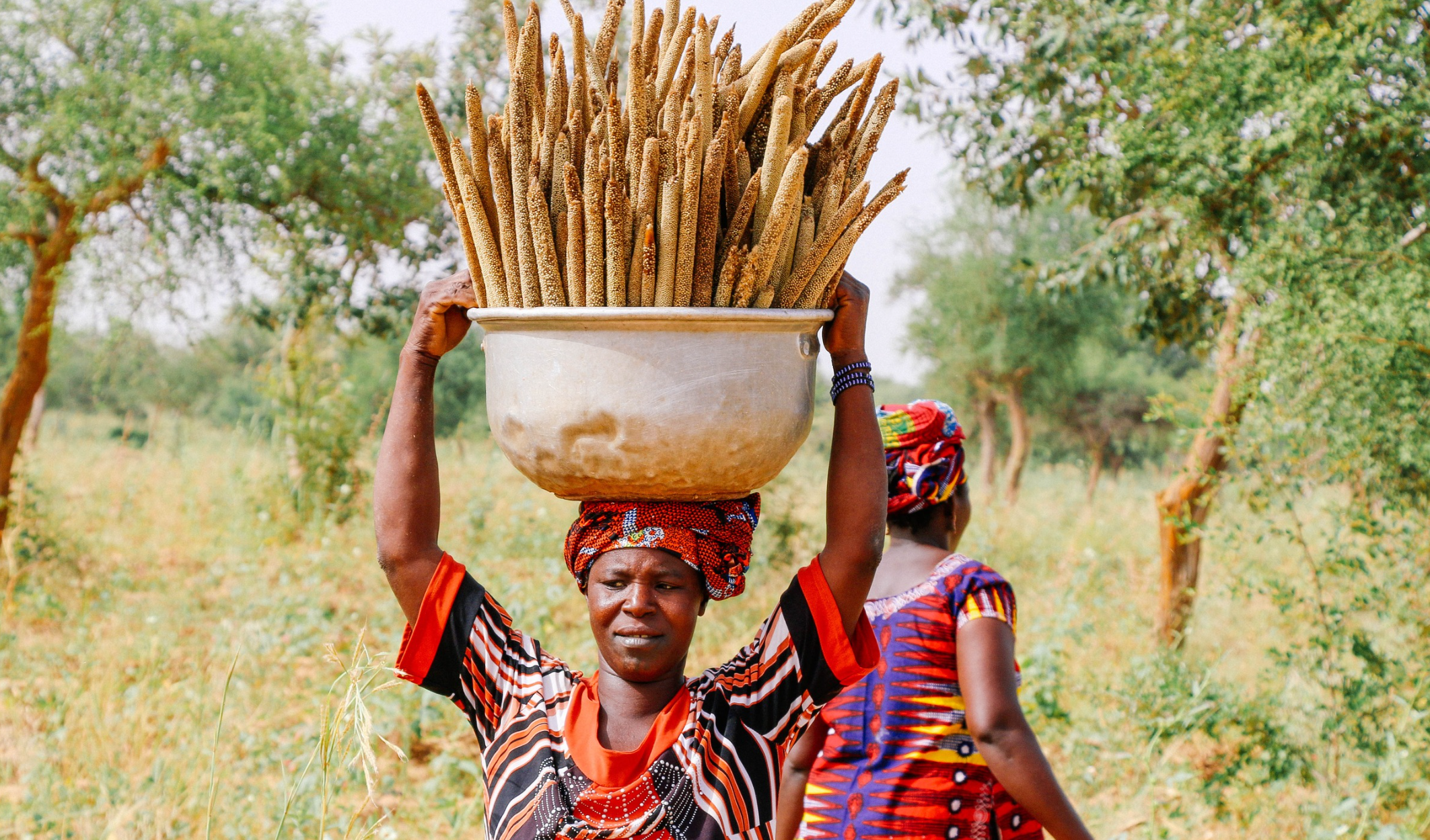 A women transporting millets on her head.