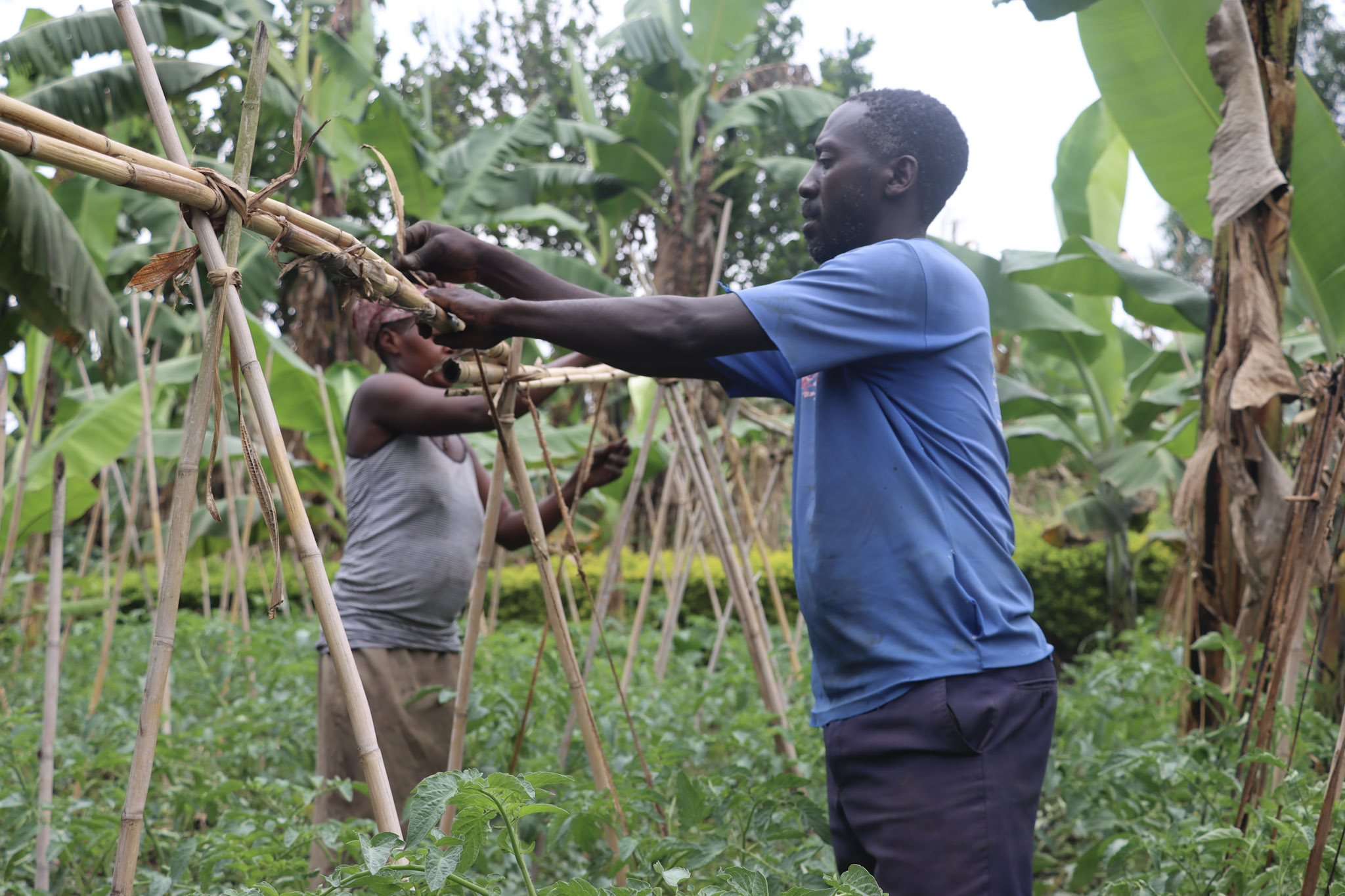 A husband and wife tend to their farm using sustainable practices. 
