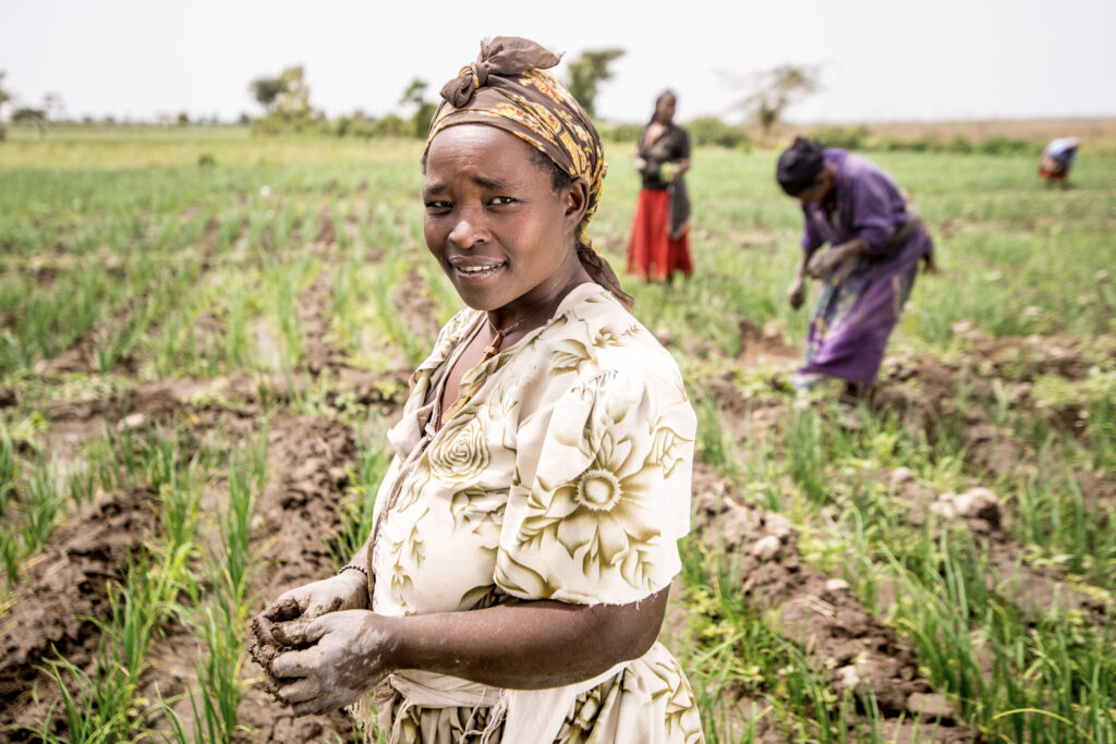 Meki Batu Ethiopia - Fruit and Vegetable Growers Cooperative
