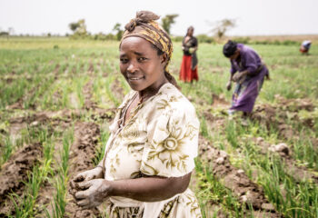 Meki Batu Ethiopia - Fruit and Vegetable Growers Cooperative